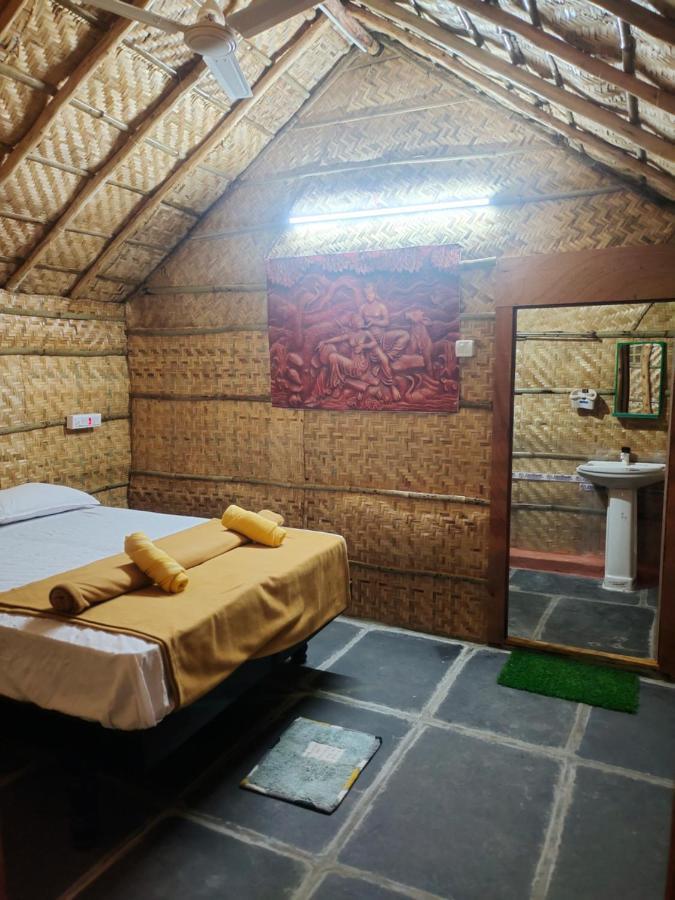 Waterfall Guesthouse ハンピ エクステリア 写真