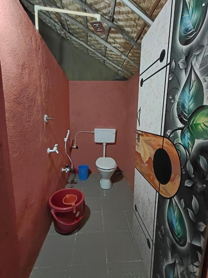Waterfall Guesthouse ハンピ エクステリア 写真